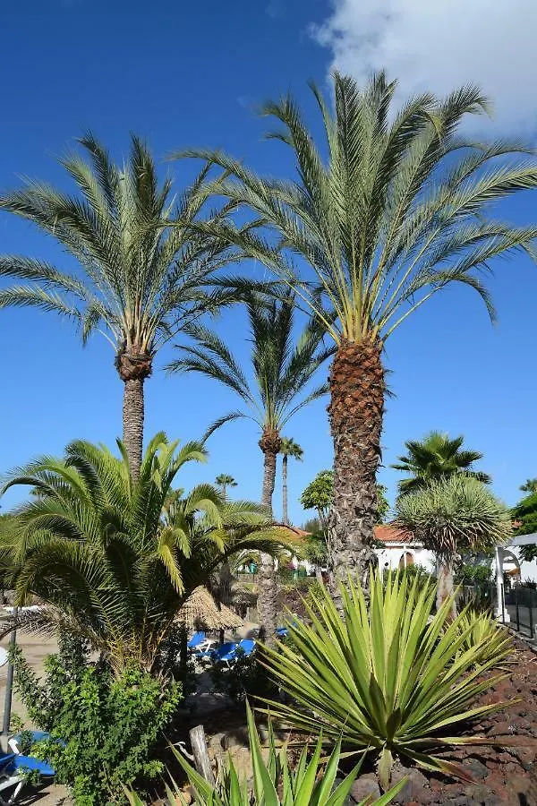 Parque Golf Fresh Διαμέρισμα Μασπαλόμας Ισπανία