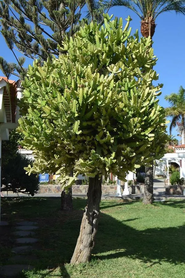 Parque Golf Fresh Διαμέρισμα Μασπαλόμας 0*,